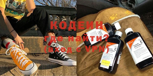 индика Арсеньев