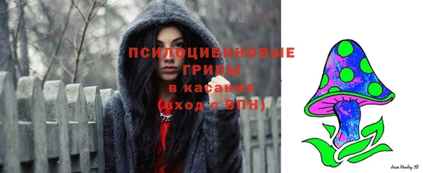 каннабис Аркадак