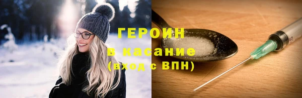 индика Арсеньев