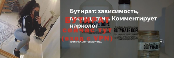 индика Арсеньев