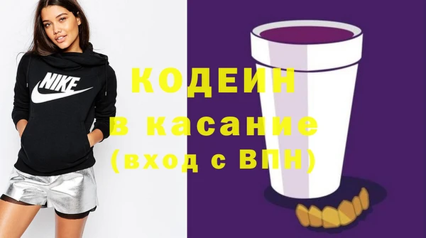 индика Арсеньев