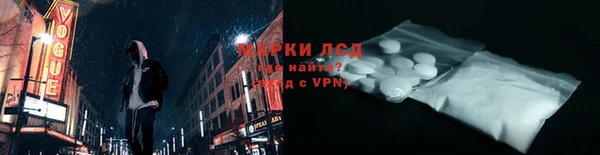 индика Арсеньев