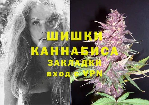 индика Арсеньев