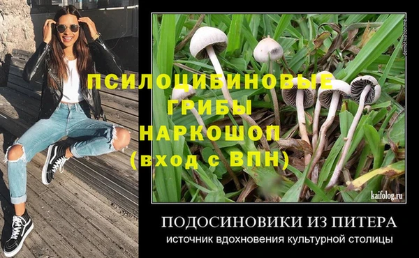 каннабис Аркадак