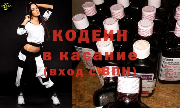 индика Арсеньев