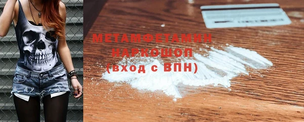 индика Арсеньев