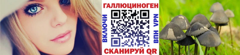 гидра онион  Николаевск  Псилоцибиновые грибы прущие грибы  сколько стоит 